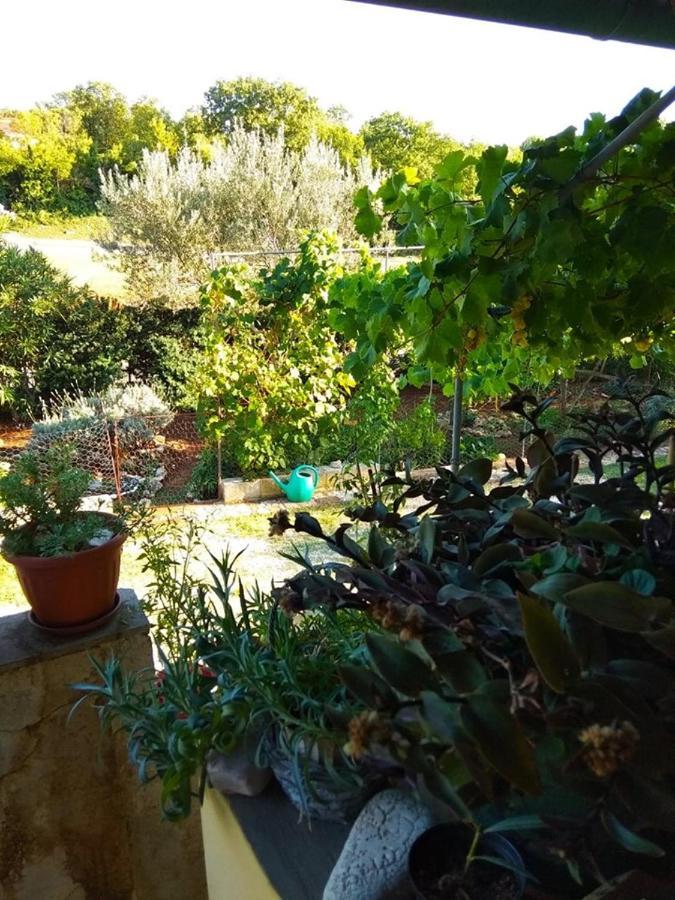 Apartman Garma Rovinj Eksteriør billede